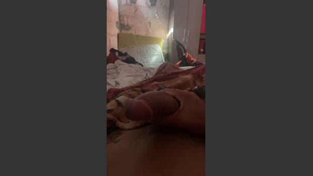 Pau_preto00 27-12-2025 Recorded Video toy