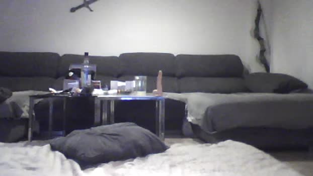 Polardos 26-12-2025 Recorded Video analtoy