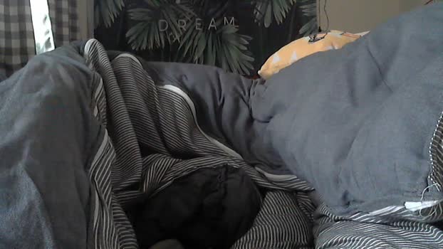 howhow22 27-12-2025 Recorded Video analtoy