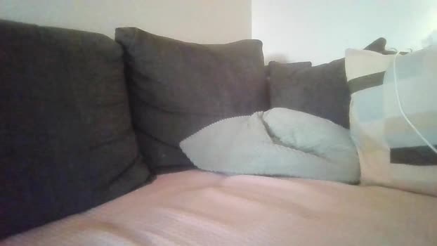 marco33275 27-12-2025 Recorded Video amateur