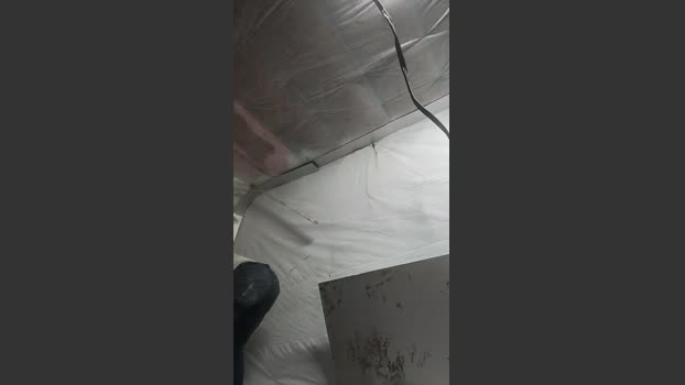 richie00731 27-12-2025 Recorded Video analsex