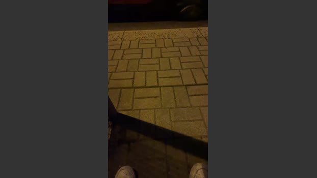 thatspavel2 26-12-2025 Recorded Video suckcock