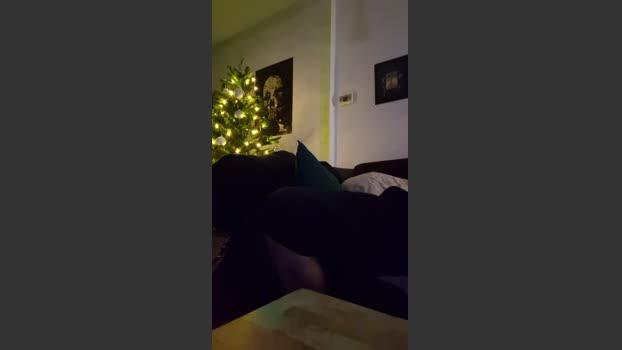 Kingsscepter 27-12-2025 Recorded Video bicurious