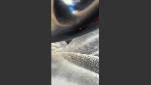 Ziccherino 28-12-2025 Recorded Video sexy