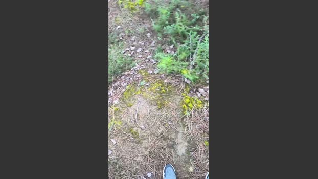 minex2 28-12-2025 Recorded Video jerkoff