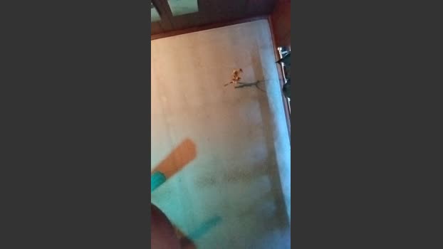 tattedup845 27-12-2025 Recorded Video jerking