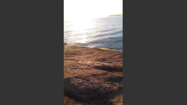 Daddy_capixaba 29-12-2025 Recorded Video play