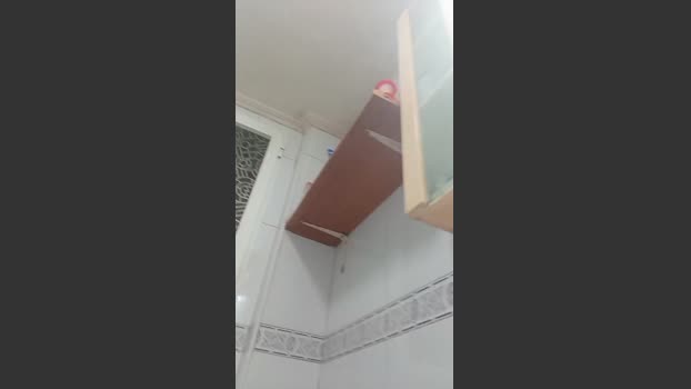 EL_ACTIVADO 29-12-2025 Recorded Video suckcock