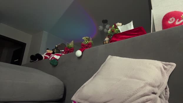 JeremyScotty 29-12-2025 Recorded Video Recorded