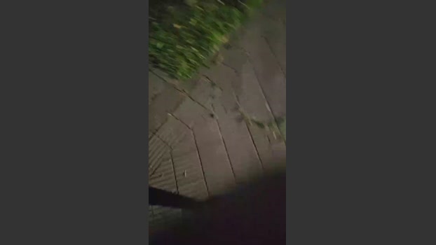 Tepintoarg 29-12-2025 Recorded Video fuckhard