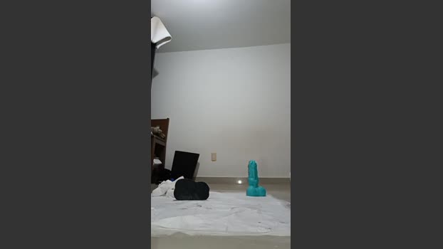 eiidan 29-12-2025 Recorded Video bigtoys