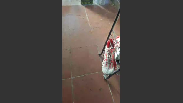 italian_bull1 29-12-2025 Recorded Video kissing