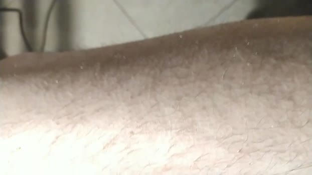 scrocchia84 29-12-2025 Recorded Video Show