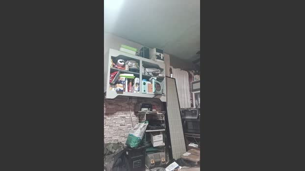 thompson3 28-12-2025 Recorded Video play