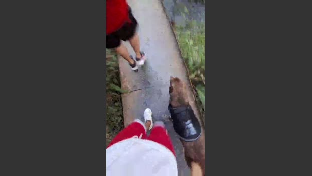 Clark_Jhonz 29-12-2025 Recorded Video Cam