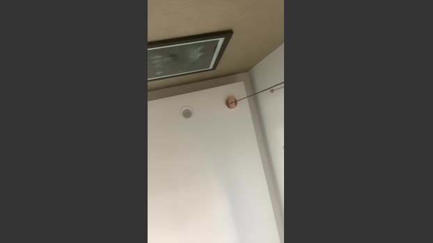 DotadosCasalSp 30-12-2025 Recorded Video nasty