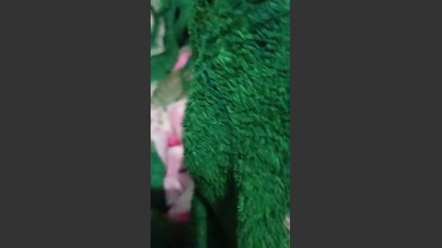 EugusttavoxxZ 30-12-2025 Recorded Video play