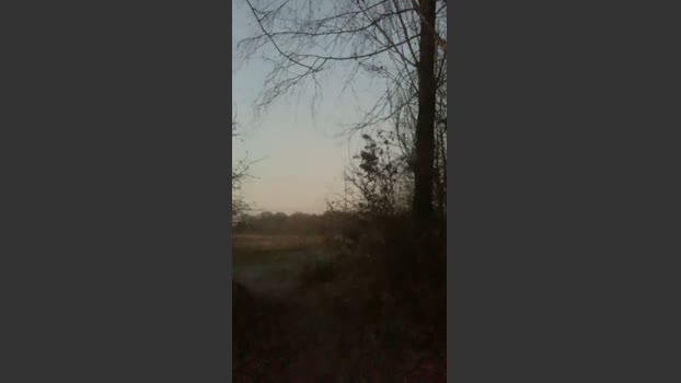 Joueurh 29-12-2025 Recorded Video playtime