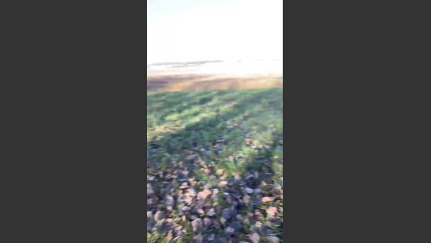 Joueurh 30-12-2025 Recorded Video dirty