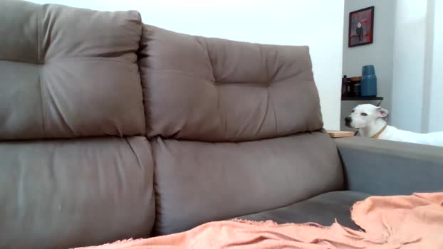 MrSkull4i20 29-12-2025 Recorded Video natural