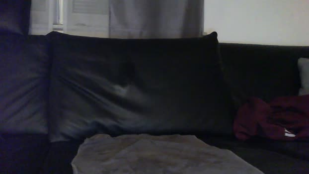 Technologe 29-12-2025 Recorded Video moan