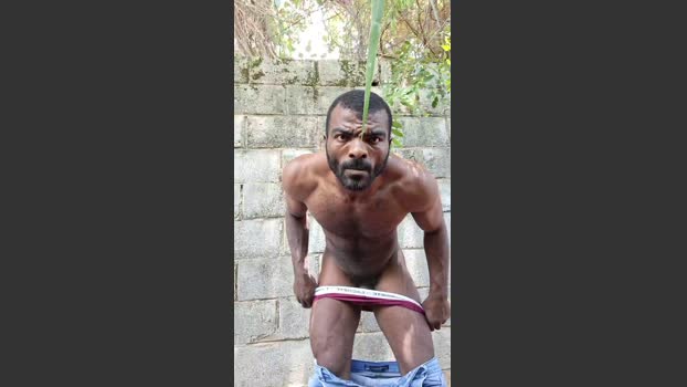 Vidalgo 29-12-2025 Recorded Video hard