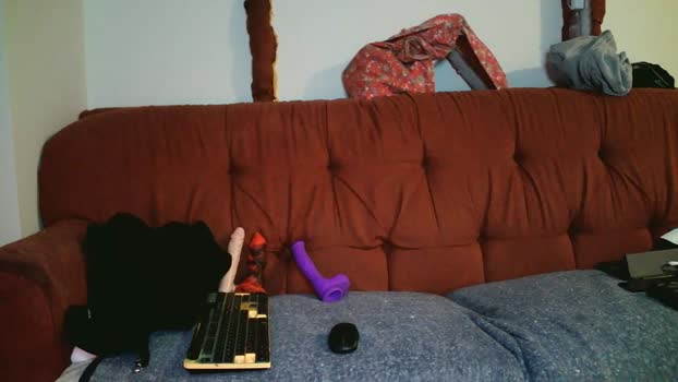 Youngloads 30-12-2025 Recorded Video Download
