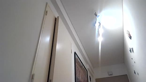 julian_hard1 30-12-2025 Recorded Video kink