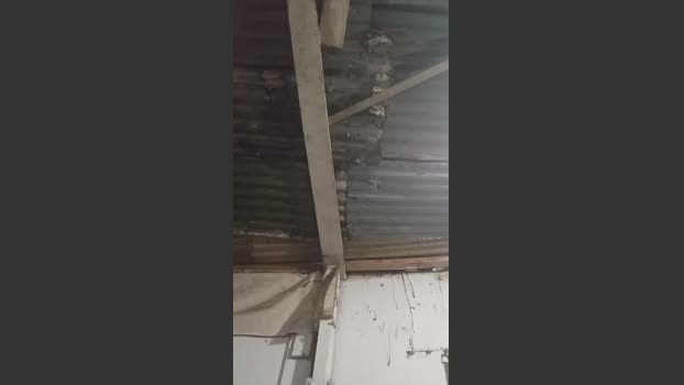 rodrigo3878 30-12-2025 Recorded Video Video