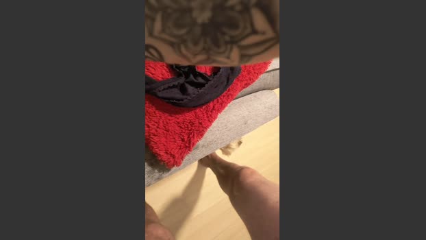 Dan40 31-12-2025 Recorded Video Ass