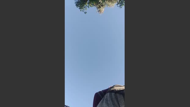 Mrmcfly1 31-12-2025 Recorded Video oral