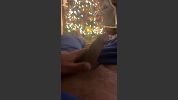 Ziccherino 31-12-2025 Recorded Video legs
