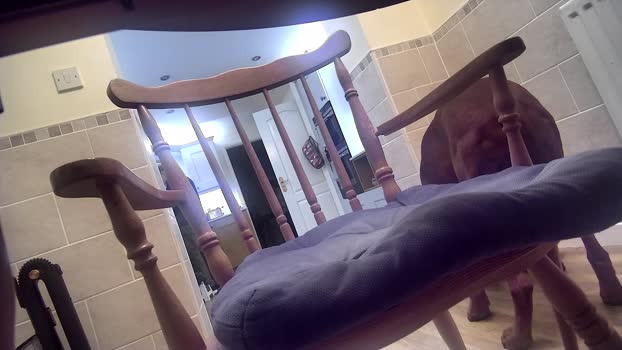 john69uk2 30-12-2025 Recorded Video prettyface