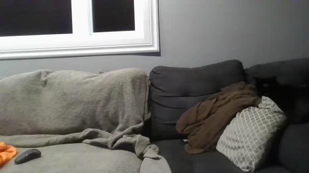 quebecinc1 31-12-2025 Recorded Video bicurious