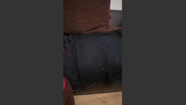 tobi332 31-12-2025 Recorded Video blowjob