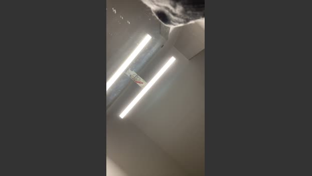 Bartxmxm 01-01-2026 Recorded Video big