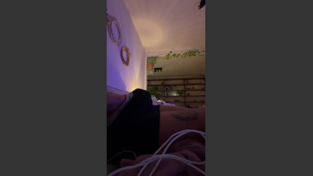 Dewou 01-01-2026 Recorded Video wank