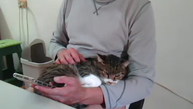 QWQ1979 01-01-2026 Recorded Video jackoff