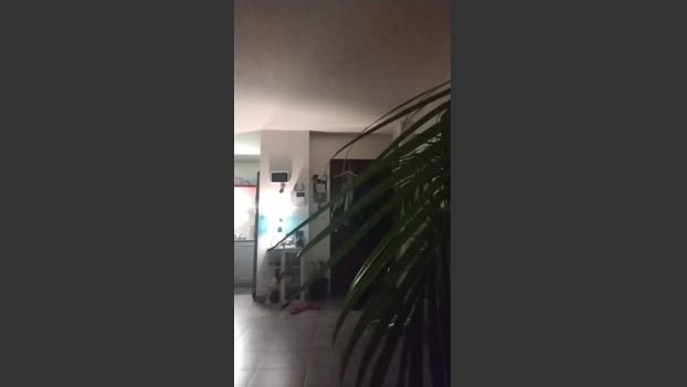 Raibonk7 01-01-2026 Recorded Video kinky