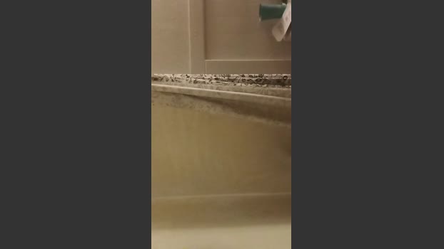 SiccVicc69 01-01-2026 Recorded Video Video