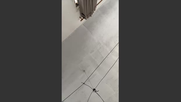 Sofumancheiran 31-12-2025 Recorded Video bigload