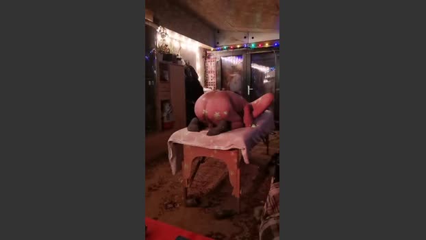 adameva2 01-01-2026 Recorded Video ass