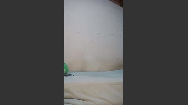 novindago1 01-01-2026 Recorded Video natural