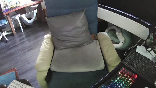 zeenfan 01-01-2026 Recorded Video orgasm