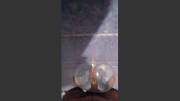 Bowe2002 01-01-2026 Recorded Video analtoy