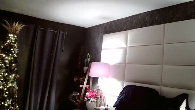 DallasAndBeau 02-01-2026 Recorded Video strip