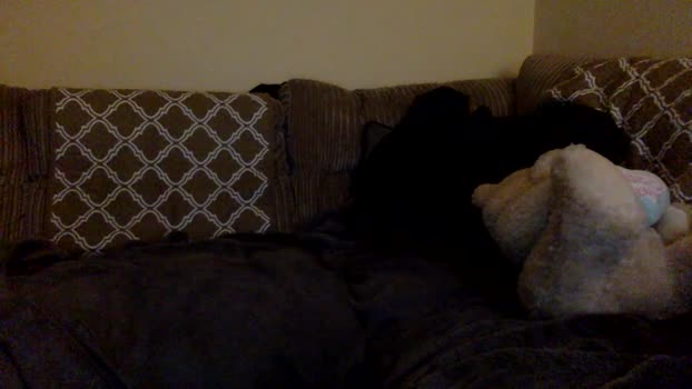 DirtyDaddycam 01-01-2026 Recorded Video amateur