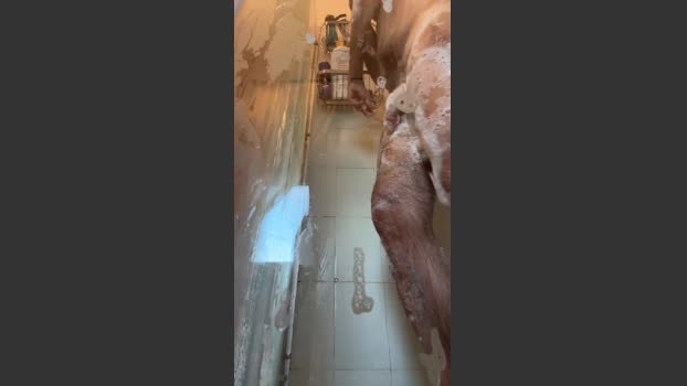 contedig28 02-01-2026 Recorded Video sexyfeet
