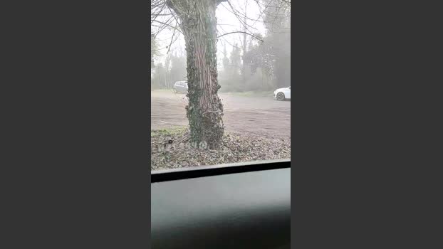 nudo_xxx 02-01-2026 Recorded Video love