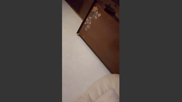Dimeklk 03-01-2026 Recorded Video deep